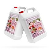2x5 Liter Bioethanol Premium 100% fürAlkohol für Kamin (WALDERDBEEREDUFT, 10L)