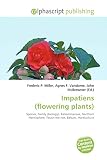 Impatiens (flowering plants): Species, Family (biology), Balsaminaceae, Northern Hemisphere, Touch-me-not, Balsam, H