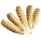 Natürliche Eulenfedern zum Basteln, Feder-Dekor, Fasan, DIY-Zubehör, Urlaubsdekoration, 23–28 cm, 5 Stück