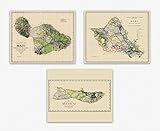 Hawaiianische Karte Set Von 3 Vintage -Karte | Hawaiianische Schlafzimmerdekor & Hawaii Dekor | Hawaii Wand Dekoration Geschenk Für Reisende | Hawaiianische Dekor Wandkunstwerk (30cm x 40cm)