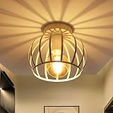 Goeco Deckenleuchte Weiß, E27 Lampenfassung Industrial Lampenschirm in Form eines Metallkäfigs, Deckenlampe Pendelleuchte innen Vintage für Flur, Balkon, Ø 19cm(Glühbirnen nicht inbegriffen)