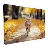 druck.de Keilrahmen Katzen und Hunde Motive, Wandbild auf Künstler Leinwand, hochwertiger Kunstdruck, Stabiler 2cm Holzrahmen mit kratzfestem 280g Canvas - Catwalk, 45x30 cm - Q