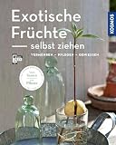 Exotische Früchte selbst ziehen (Mein Garten): vermehren - pflegen - genieß