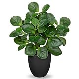 Oairse 37 cm Kunstpflanzen im Topf, Künstliche Zimmerpflanze Künstliche Peperomia mit Minzblättern Dekoration für Desktop Bonsai, Kunstpflanzen mit Töpfen Tischdeko Haus Balkon Büro Dek
