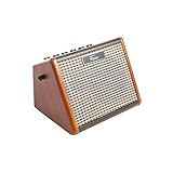 Fame AG-15A Akustikgitarren Verstärker 15 Watt | 2-Kanal | Akkubetrieben | Bluetooth-Schnittstelle | Echo-Effekt | Ideal für Gitarre und Gesang | Leicht und Tragb