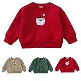 biJerou Hoodie Junge 98 Weihnachten Sweatshirt Baby Fleece Weihnachtspullover Säugling Santa Rentier Bestickt T-Shirt Tops Kinder Kleid Junge (Green, 6-9 Months)
