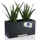 DECORAS Pflanztrog/Blumentrog (Anthrazit-Matt) - Großer, robuster Fiberglas-Blumenkübel für Garten & Terrasse - Winterfester Pflanztopf - UV-beständig (Länge: 100 cm/Breite: 40 cm/Höhe: 50 cm)