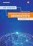 IT-Berufe: Lernsituationen Grundstufe Lernfelder 1-5 Arbeitsb
