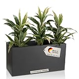 Blumenkastenaus Kunststoff, „Murdo 25“, 60 x 25 x 25 cm, in mattem Grau, plastik, dunkelgrau, 100x40x50
