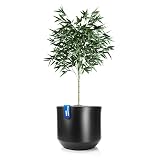 BigDean Blumentopf Style ø 46 cm anthrazit mit herausnehmbaren Innentopf - wetterfester Blumenkübel aus bruchsicherem Kunststoff - Pflanzkübel groß Außen & Innen geeig