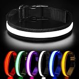 HEELE Hundehalsband Leuchtend, Leuchtend Halsband, Leuchthalsband Type-C Wiederaufladbar, Leuchthalsband Hund Wasserdicht, LED Halsband für Hunde, Hundehalsband mit 3 Beleuchtungsmodi, Schwarz, M