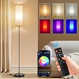 FRIDEKO HOME Stehlampe Wohnzimmer Modern RGB Dimmbar Smart Standleuchte mit Fernbedienung Musikmodus Schwarz-Sockel für Büro S