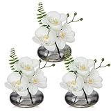 Briful 3er Set Kunstblumen Künstliche Orchideen Kunstblumen Wie Echt Dekoblumen mit Glasvase Bad Deko Kunstpflanze für Wohnzimmer Party Büro B