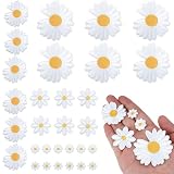 Patches Zum Aufbügeln Aufbügelbilder 30Stk Aufbügelflicken Blume Aufnäher Zum Aufbügeln Gänseblümchen Blumen Bügelbilder für Mädchen DIY-Zubehör Zum Aufnähen auf Kleidung Kleid J