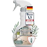 Elorja® Ameisenspray 500 ml [mit Sofortwirkung] Ameisenspray mit Langzeitwirkung - Anti Ameisenspray, Effektive Ameisenabwehr für auß