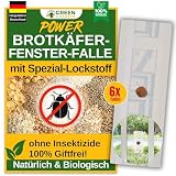 GREEN GUARDIA Brokäfer Fenster-Falle mit Spezial-Lockstoff - 6X Fallen - umweltfreundlich Brotkäfer bekämpfen, Chemiefreie Falle mit starker Klebefläche, giftfrei & g