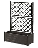 HERSTERA 10014400 Pflanzgefäss con Rankgitter, Dunkelbraun, 100 x 43 x 142