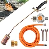 Fepro Gasbrenner Abflammgerät inkl. 4,5m Schlauch, 4 bar Druckminderer und Zubehör, 58kW - ideal für Unkrautvernichtung, Anzünder, Bitumenbahnen schweiß