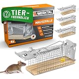 WERKTAL Mausefalle lebend - Hochsensitive Lebendfalle Maus [4er Set] - Tierfreundliche Hygenische Mäusefalle mit Doppeltür - Einfache Köderfixierung - Wiederverwendbare Rattenfalle leb