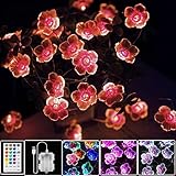 StarryEver LED Bunt Lichterkette Blumen, 4M 40er USB & Batterie LED Blume Lichterkette Innen, 16 Farben Lichterkette für Zimmer mit Fernbedienung für Diwali Garten Bäume, Geschenke für Frauen M