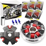Area1 Tuning Variomatik Set kompatibel mit Peugeot Speedfight 1, Speedfight 2 Elyseo Elystar Vivacity Trekker Gipsy Buxy Squab TKR Zenith SV Splinter Hercules Sachs Honda X8RS SXR SFX Shaddow Bali Sky
