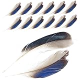Artibetter 100 Stück Natürliche Wildentenfedern für DIY Bastelprojekte Farbintensiv und Langlebig für Kostüme Hutdekorationen Haaraccessoires und Arrang