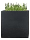 Pflanzwerk® Pflanzkübel Divider Anthrazit Kunststoff BESTPREIS *Größe auswählbar* *Frostbeständiger Blumenkübel* *100% ÖKOLOGISCH* *2 Jahre GARANTIE* *Qualitätsware*
