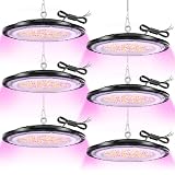 DIKHEE LED Grow Lights, 150W Pflanzenlampe Led, Wachsen licht Vollspektrum Pflanzenlampe mit Daisy Chain für Zimmerpflanzen, 216 LEDs Pflanzenlicht für Zimmerpflanzen, Gemüse, Blume(150W-6PACK)