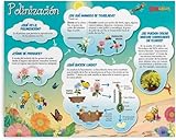 Wissenschaftliches Wissen über den Bestäubungsprozess – Grafikposter, Wanddekoration, Metallschild, schicke Kunst, 30 x 40