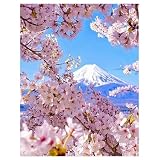 DCIDBEI DIY Diamond Painting Kirschblüten Japan 40x50cm 5D Diamant Malerei Malen nach Zahlen Blumen Diamond Painting Landschaft Kirschblüten Gemälde Groß Kreuzstich Strass Diamond Painting Fuj