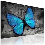 murando - Bilder blauer Schmetterling 90x60 cm Vlies Leinwandbild 1 tlg Kunstdruck modern Wandbilder XXL Wanddekoration Design Wand Bild - Tiere Abstrakt grau 020116-33