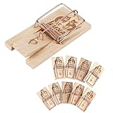 Rovar Mausefallen aus Holz 20er Pack - Klassische Schlagfalle, Wiederverwendbare giftfreie Mäusefalle und Rattenfalle für drinnen und drauß