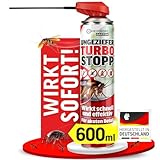 HEIMWERT Insektenspray Akut gegen Ungeziefer – Sofortige Wirkung mit Langzeitschutz gegen Ameisen, Mücken, Fliegen, Silberfische, Spinnen uvam - Spray Mittel für Wohnung + Garten 600 ml (600ml)
