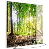 STEINFELD Heizsysteme® Glas Bild Infrarotheizung mit Thermostat | Made in Germany | viele Motive 350-1200 Watt Rahmen silber/alu (1200 Watt, 067 Wald Panorama)