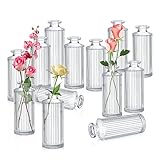 Lvefyti 12 Stück Knospe Wases, Glasflasche Vasen klar kleine Vasen hoch dekorative Vase Füller für Tafelaufsätze Apotheke Gläser Vase für Haus Hochzeit Braut Dusche Dek