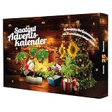 Adventskalender - 24 Samen & komplettes Gewächshaus 'Kamin' 37 x 25 cm Gentechnikfrei - Mit Wachstumsgarantie - Adventskalender Blumen - Adventskalender Gemüse - Saatgut Adventskalender B
