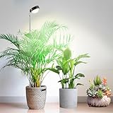fayleer Pflanzenlampe LED Vollspektrum mit Optischer Linse für Hohe PPFD, Höhenverstellbare Grow Lampe mit 6/12/18H Timer, Grow Light Pflanzenlicht Wachstumslampe für Zimmerpflanze H