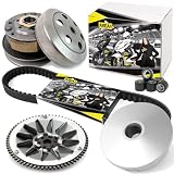 Area1 Variomatik Wandler Keilriemen Set kompatibel mit Peugeot Speedfight 1, Speedfight 2 Elyseo Elystar Vivacity Trekker Limbo Buxy Squab TKR Zenith SV Looxor Splinter Raggae Speedake Hercules S