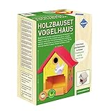 Pebaro 466 Holzbauset Bastelset Vogelhaus inkl. 9 unbehandelten Birkenholzplatten, Löcher vorgebohrt, Hammer und Nägeln, Geschenkidee für Hobby, kleine Handwerker und Kinder, Basteln mit H