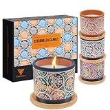 Citronella Kerze Outdoor, Sojawachs Duftkerzen Geschenkset Draußen, Bis zu 100 Stunden Brenndauer, 4 Stück Natürliches Zitronellakerzen für Camping, Grillen, Picknicks, Garten, Geschenke für F