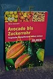 Avocado bis Zuckerrohr: Tropische Nutzpflanzen selbst ziehen (Ulmer Taschenbücher)
