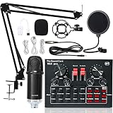 Audio -Schnittstelle mit DJ Mixer- und Soundkarte, Live -Soundkarten -Set V8X Live Sound Card BM800 Mikrofoncomputer aufnehmen Mobiltelefone K Song Live -Set Für DJ-Aufnahmestudio (Color : 8)