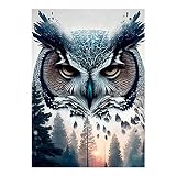 Square Diamond Painting Eulen 40x50cm Diamond Painting Square Drill Eule Malen nach Zahlen Eule Diamanten Painting Landschaften Wald Diamond Painting Quadratische Steine Stickbilder Erw