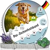 tooSimple Das Zeckenhalsband für Hunde 100% Pflanzliches Premium Öl Wirkungsvoller Schutz gegen Zecken Flöhe Mücken Läuse Ungeziefer - 8 Monate Wirkung