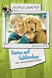 Ferien auf Saltkrokan - Der verw