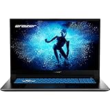 ERAZER Defender P50 43,9 cm (17,3' Zoll 144Hz) Full HD Gaming Laptop (Intel Core i7-12650H, 16GB DDR4 RAM, 1TB SSD, GeForce RTX 4060 8GB GDDR6, Win 11 Home)