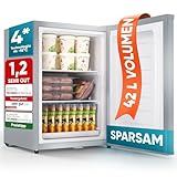 Stillstern Mini Gefrierschrank klein & leise 42L, Tiefkühltruhe mini Freezer -18°C mit Eiswürfelschale & Schloss, Türanschlag r./l., 4-Sterne Tiefkühlschrank klein Gefrierschränke Camping/Büro Silb