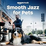 Smooth Jazz fürs H