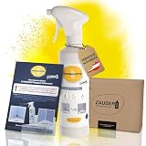 Zauberfein - Schimmelpilz Entferner Spray 500 ml, Schnell Wirkend, Gebrauchsfertiges Anti-Schimmel Spray und Desinfektionsmittel mit Aktivchlor für Feuchträume wie B