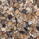 Belle Vous Dekorativer Kies, natürlich, (Beutel mit 3,6 kg), verschiedene Mini-Dekosteine für Vasen von 1,4 – 2,6 cm – dekorative Flusssteine für Pflanzen, Garten, Aquarium, Innen & Auß